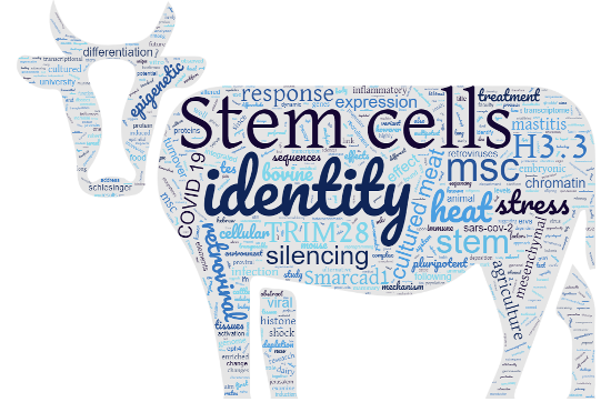 eng word cloud