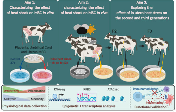 transmitted-epigenetic-changes.jpg