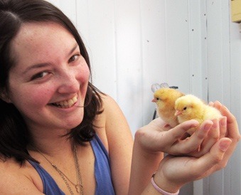 chicks