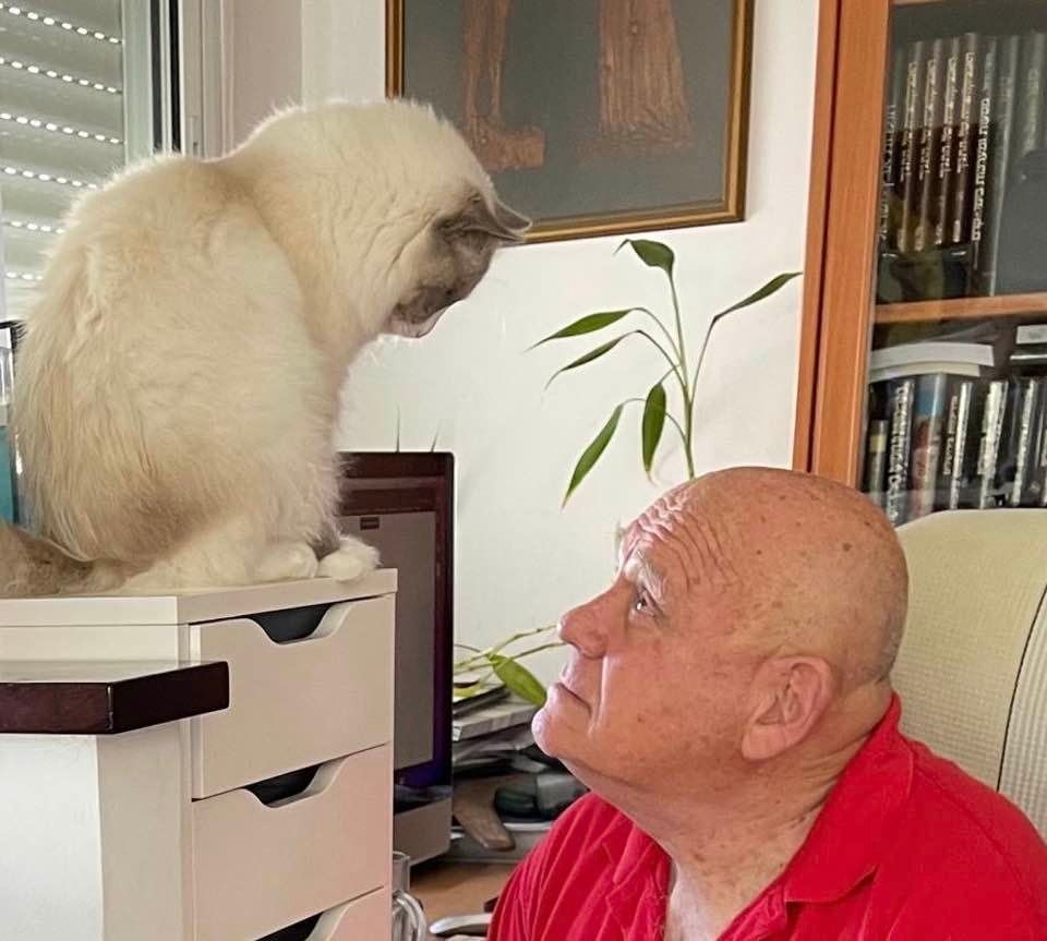 cat