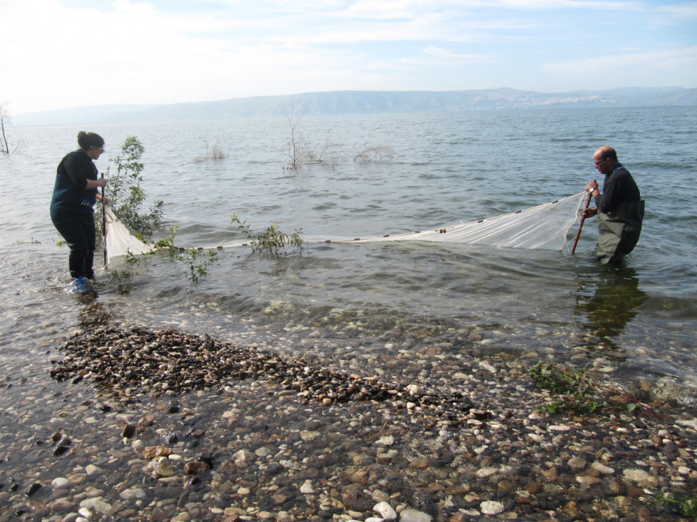 lior-david-research-image-fishing-in-the-sea-of-galilee.jpg