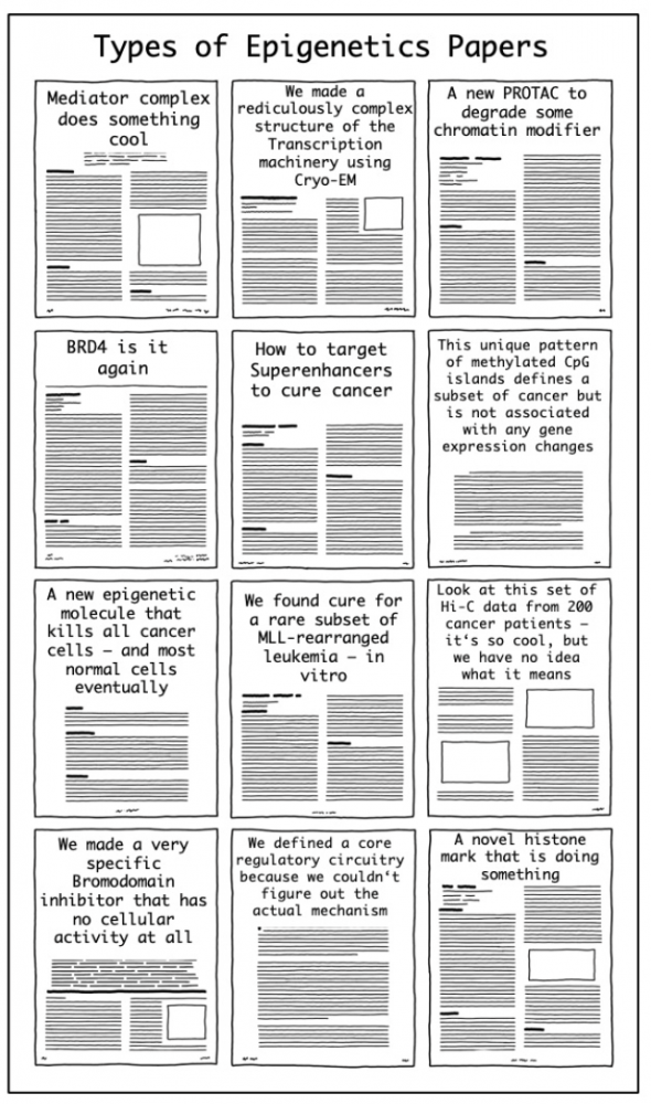 papers
